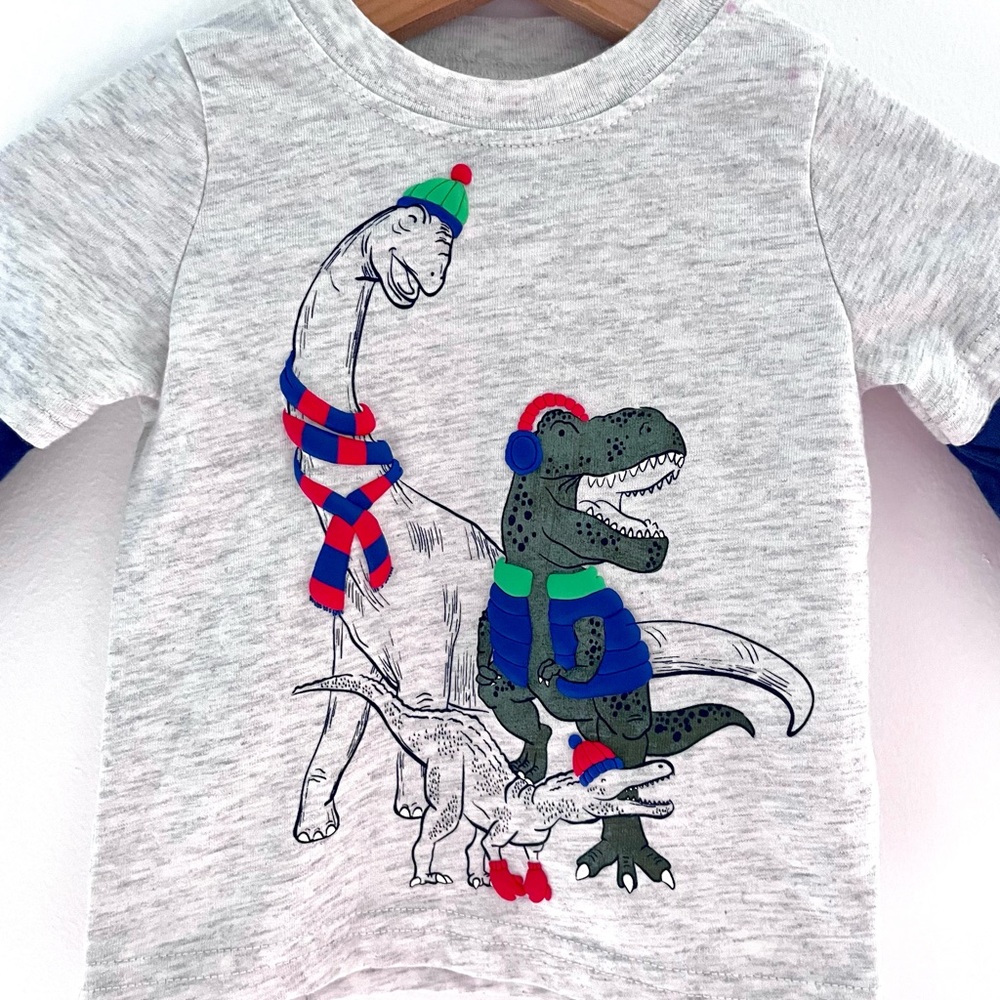 $5 💥NEW Dinosaurs in Toques Tee! Poofy Appliqués, T-Rex Bronto Buddies, Raglan